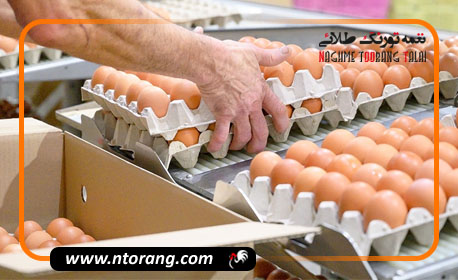 ثبات قیمت تخم مرغ تا پایان ماه مبارک رمضان